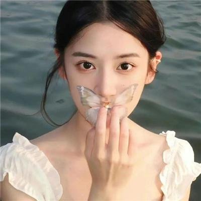 铁血玫瑰